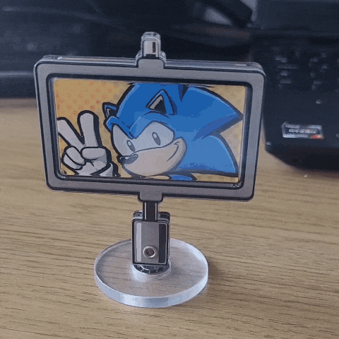 SEE IT MOVE! (GIF)