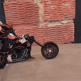 SEE IT MOVE! (GIF)